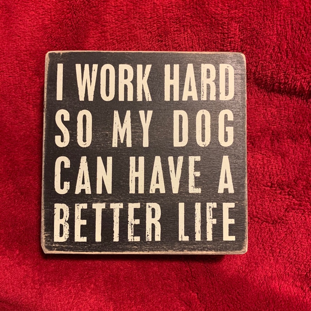 I work hard to give my dog a good life ❤️